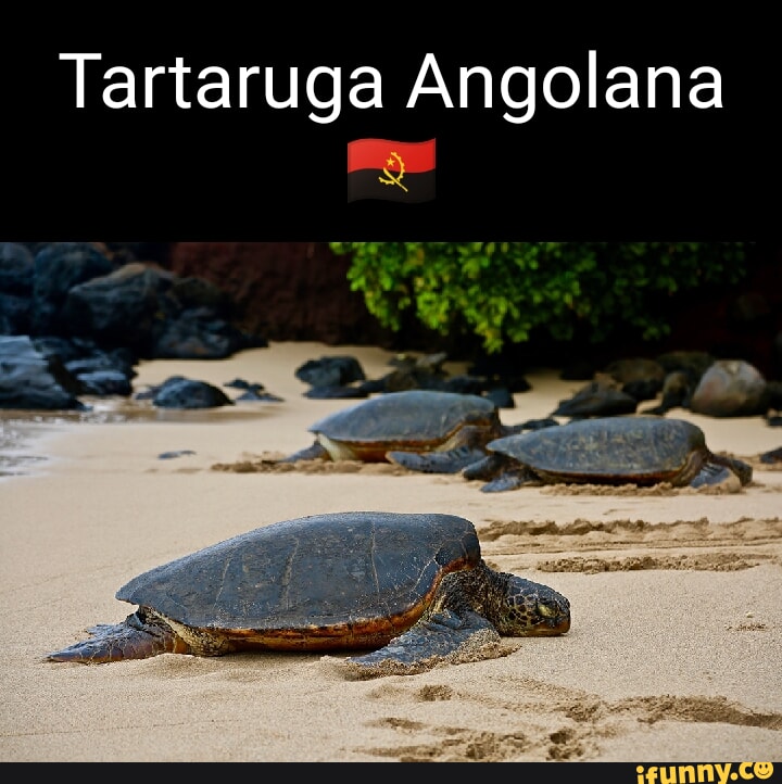 Kumalala memes. Best Collection of funny Kumalala pictures on iFunny Brazil