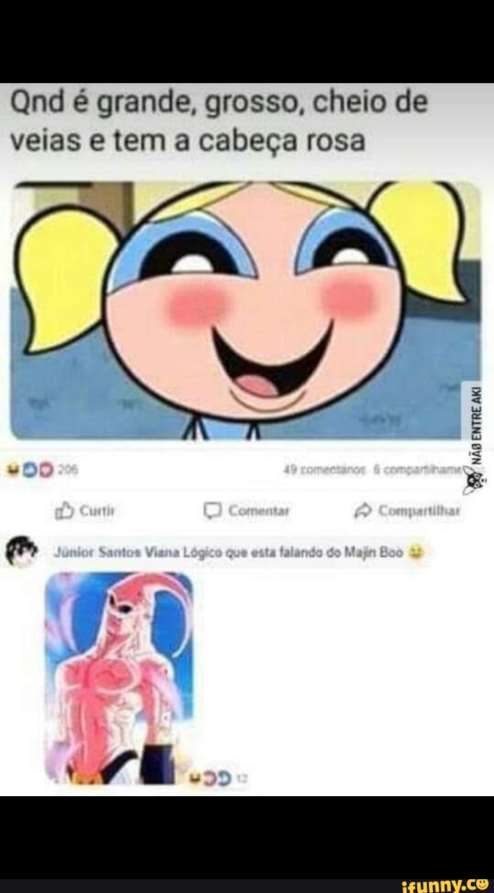 Qnd é grande, grosso, cheio de veias e tem a cabeça rosa NÃO ENTRE AKI  ENTRE - iFunny Brazil