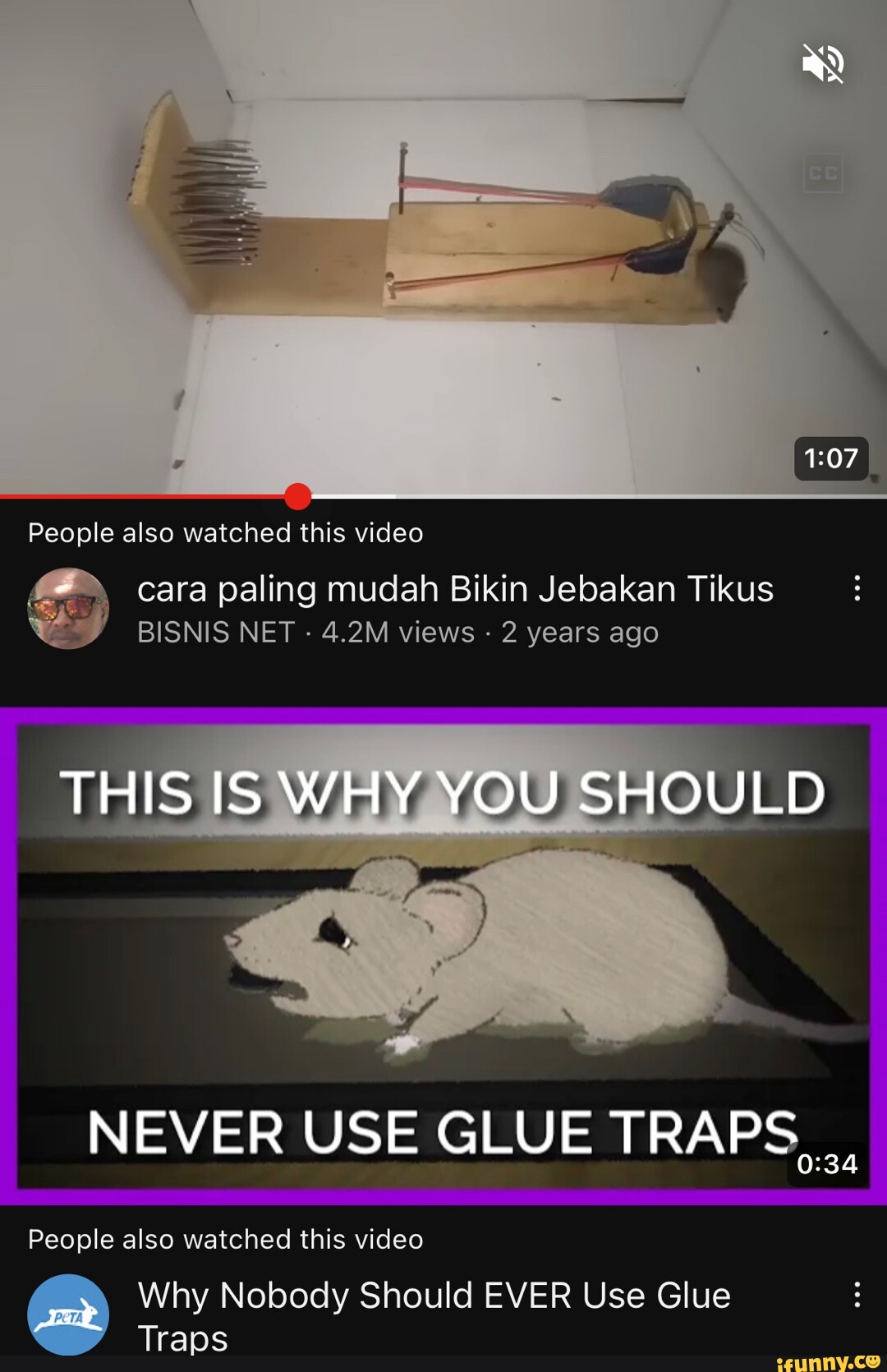 Never Use Glue Traps!