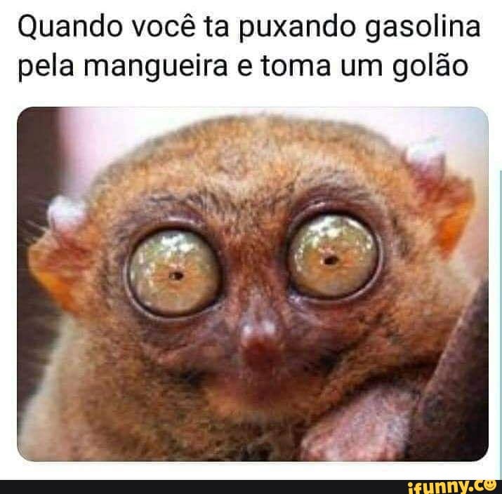 Pelando memes. Best Collection of funny Pelando pictures on iFunny