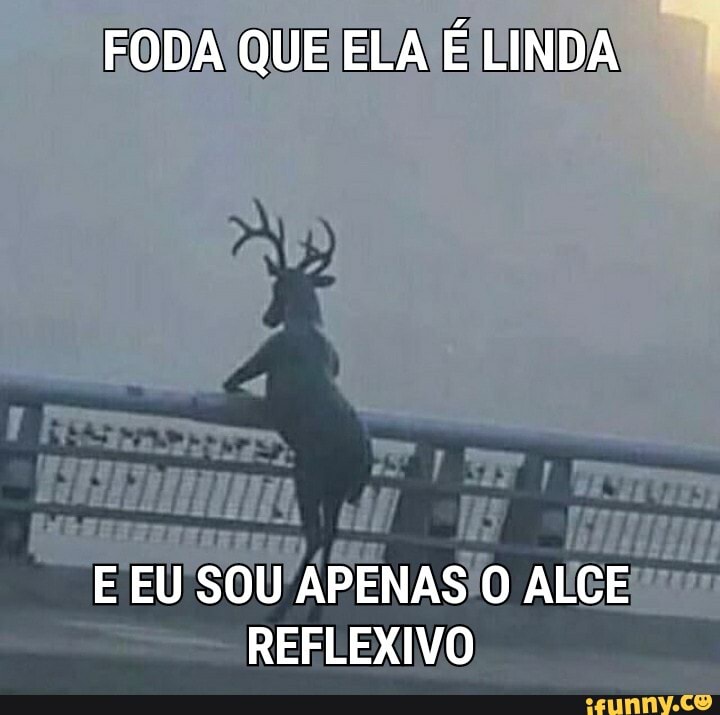 O foda que ela é linda Eeusousóo Leon Agiota do carro do ovo - iFunny Brazil