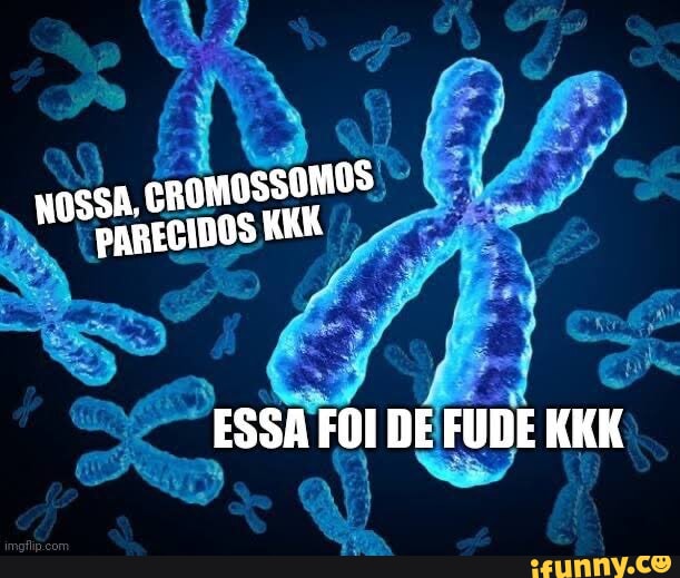 Rossato memes. Best Collection of funny Rossato pictures on iFunny Brazil