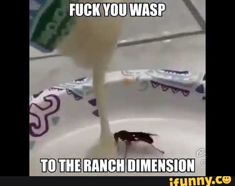 The Ranch Wasp FUCK YOU WASP TO THE RANCH DIMENSION - iFunny Brazil