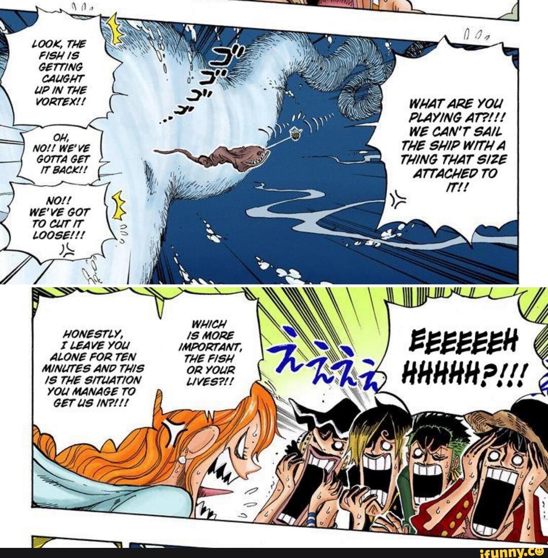 onepiece654 #onepiece #nami #luffy #zoro #usopp #sanji - HONESTLY, LEAVE  YOu ALONE FOR TEN MINUTES AND THIS THE SITUATION YOU MANAGE TO GET US  INPITL WHICH /S MORE /MPORTANT, THE FISH OR