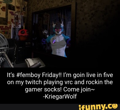 itsYaBoiWhiskey on X: Dingo Boi going live on twitch once more