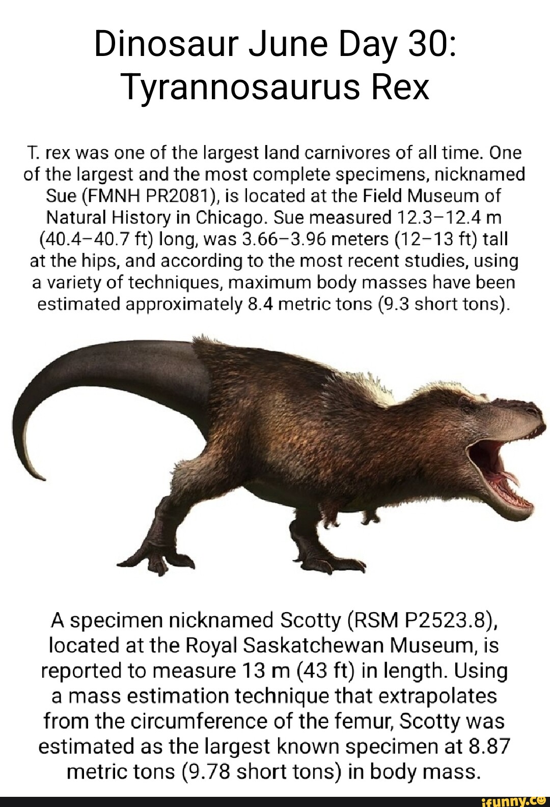 Horse-size T. rex probably not real, says dream-crushing study - CNET