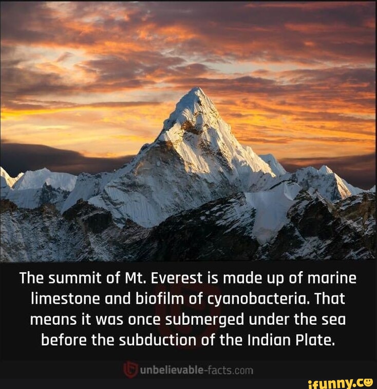 Summit Means The summit of Mt. Everest is made up of marine limestone and biofilm of ...