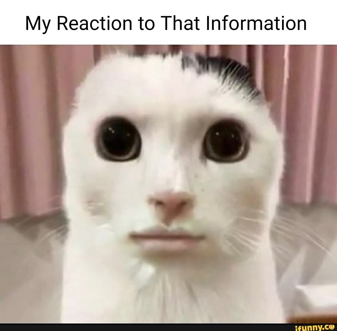 My Reaction to That Information - iFunny Brazil