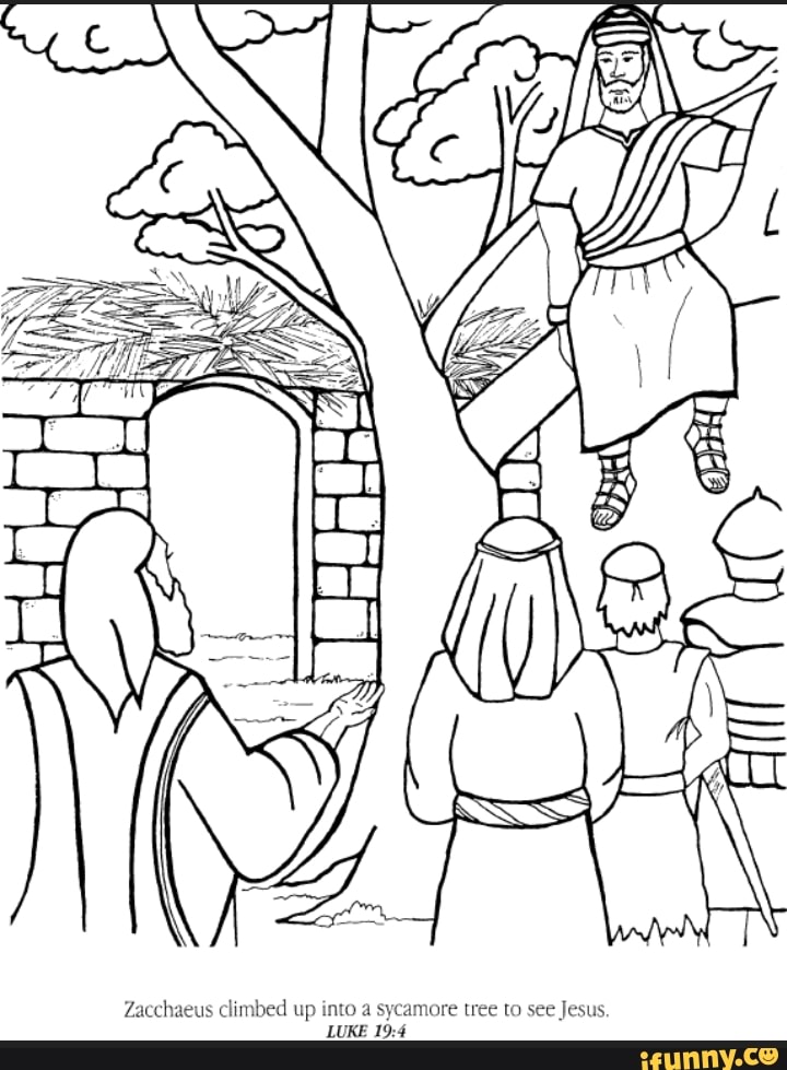 Zacchaeus climbed up into a sycamore tree to see Jesus. - iFunny Brazil