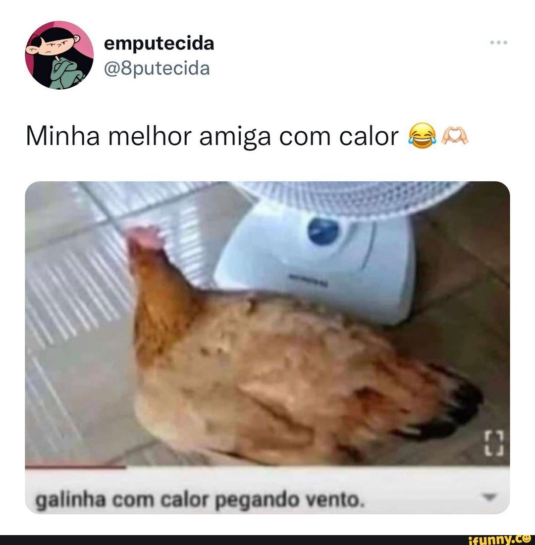 Minha melhor amiga com calor &3 galinha com calor pegando vento. v - iFunny  Brazil