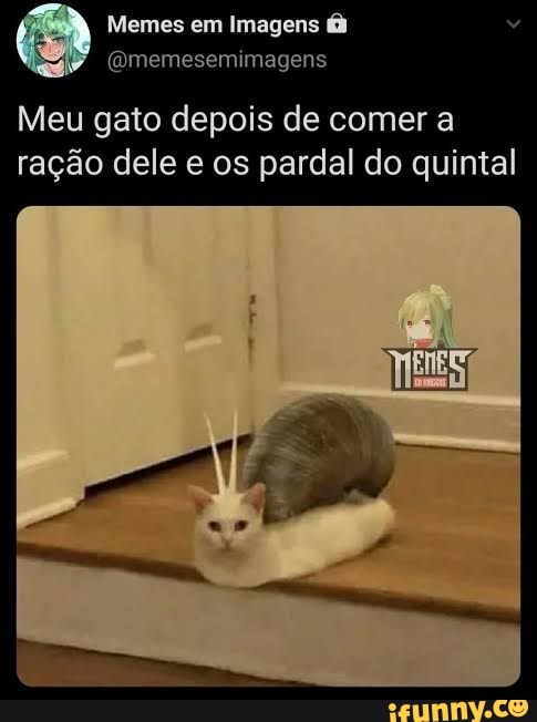 Memes em Imagens (@memesemimagens_) / X