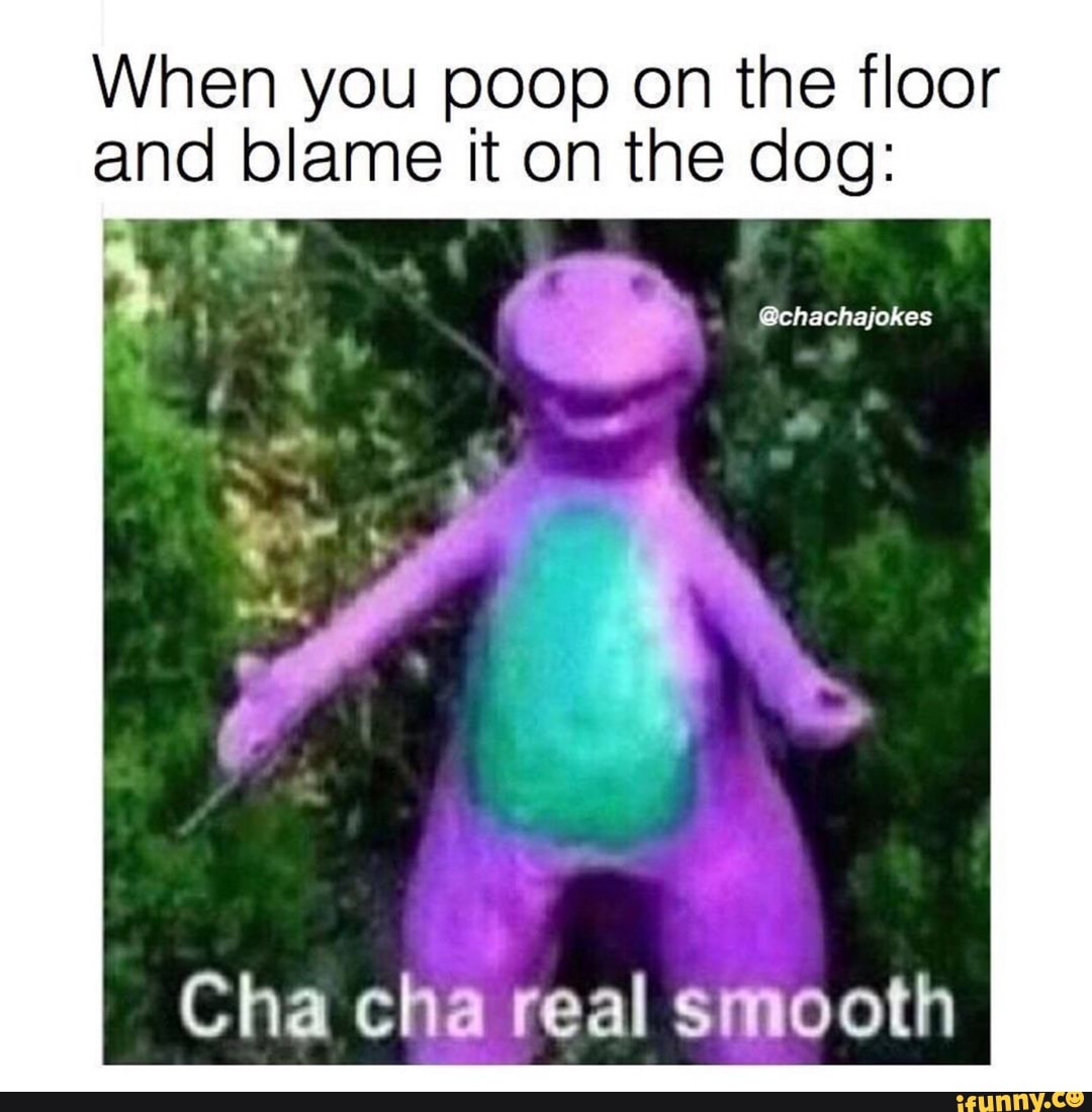 When you poop on the floor and blame it on the dog Cha cha real