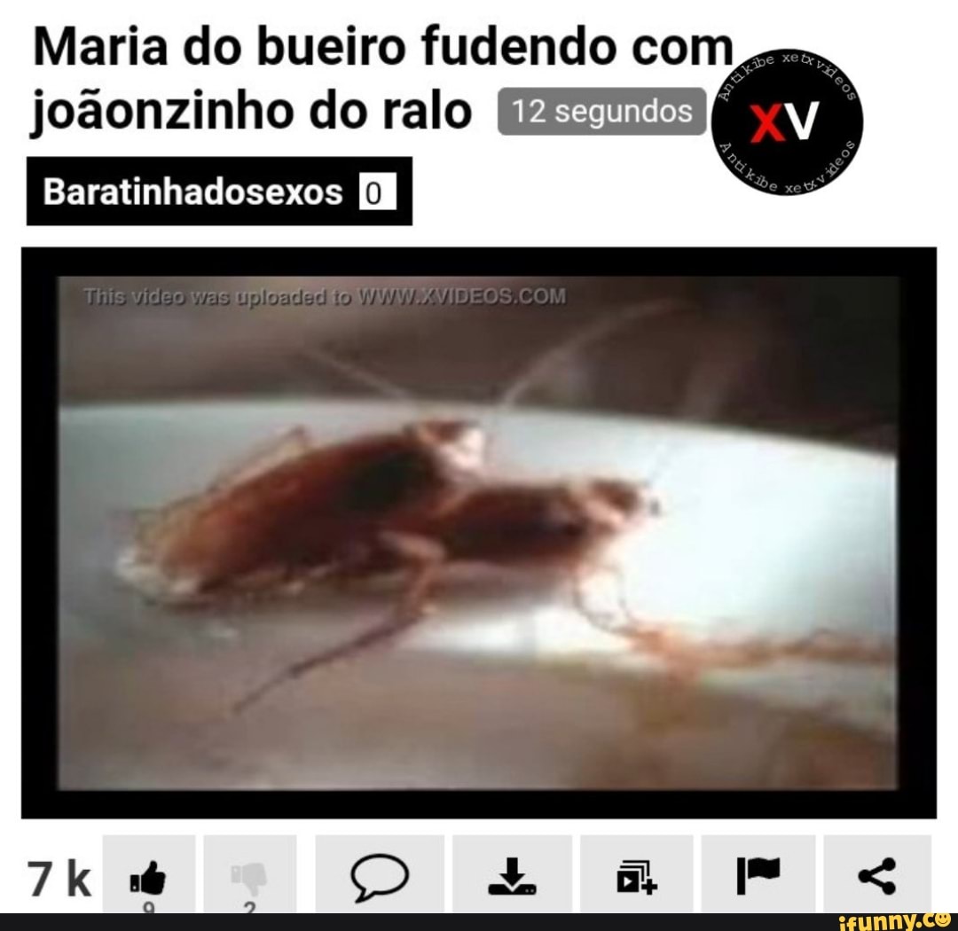 Joonzinho memes. Best Collection of funny Joonzinho pictures on iFunny  Brazil