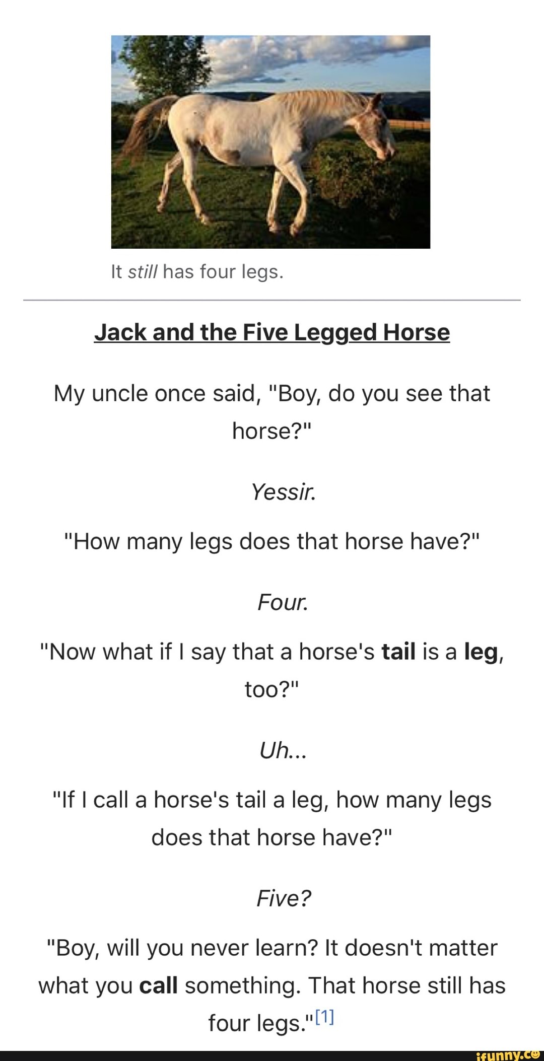 five legged horse