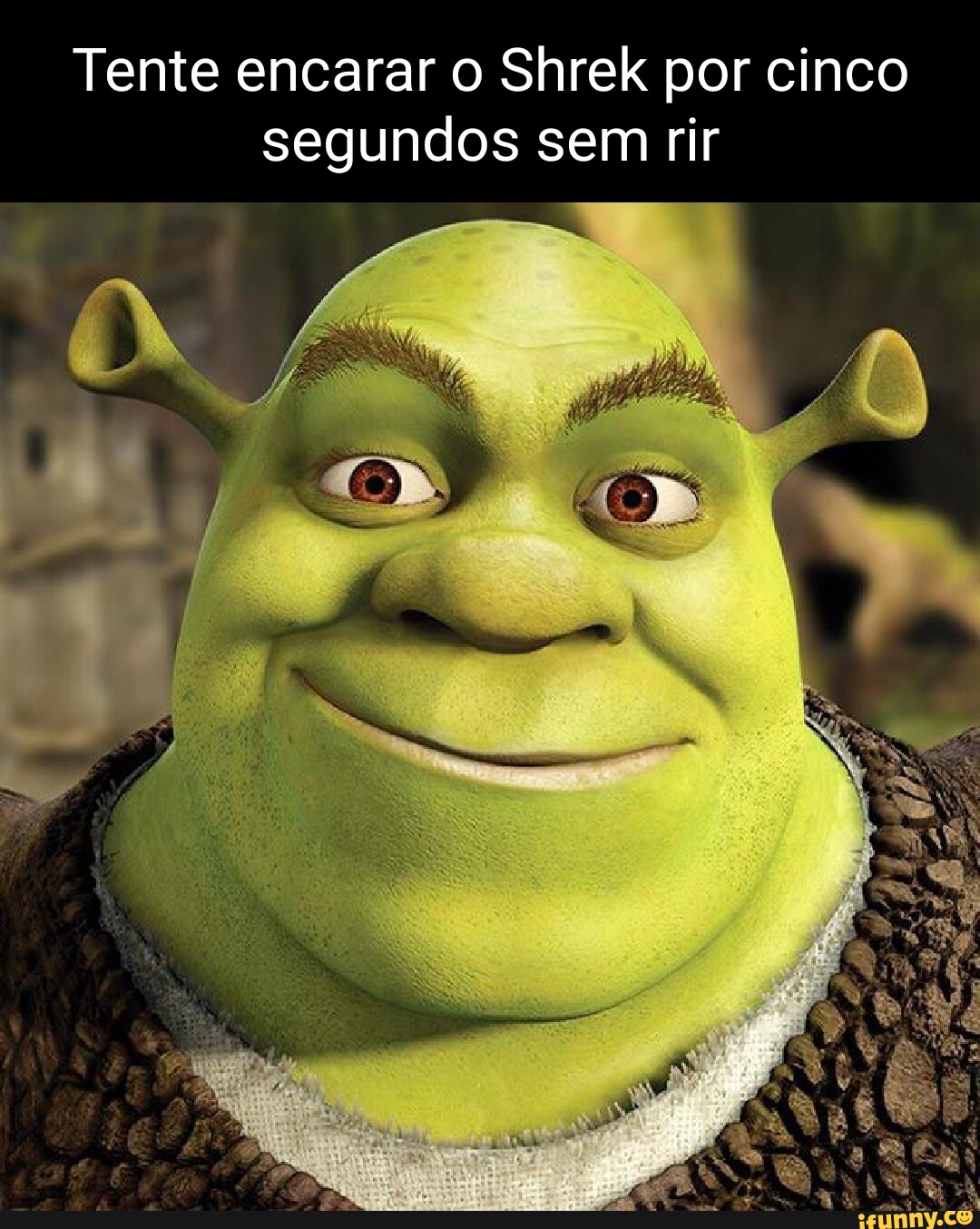 Me façam pegar destaque apenas ouvindo sherek e sua tropa sem alavancar o  meme - Shrek e sua tropa dançando ao som de nananaintlex - iFunny Brazil