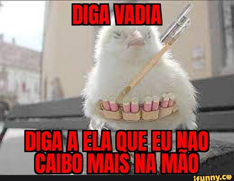 Humor, memes, imagens, gifs, memes, memes brasileiros, memes engraçados, imagens  engraçadas, fotos engraçados, animais…