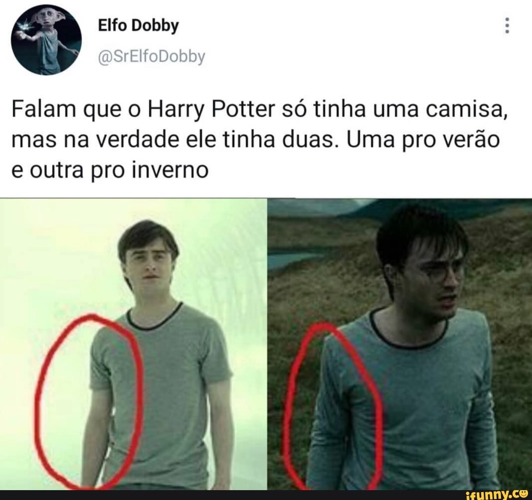 Quiz - Duvidamos que você saiba se estas afirmações sobre Dobby de