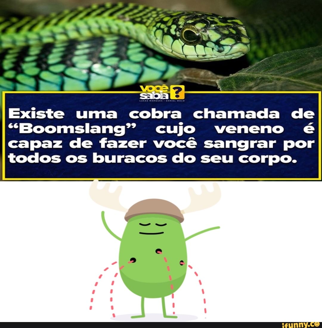 Cobra azul???? Existe ????