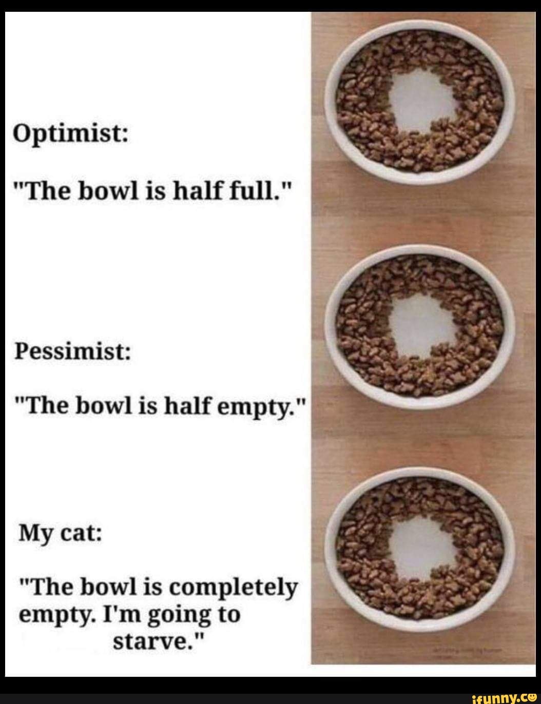 Empty cat outlet bowl