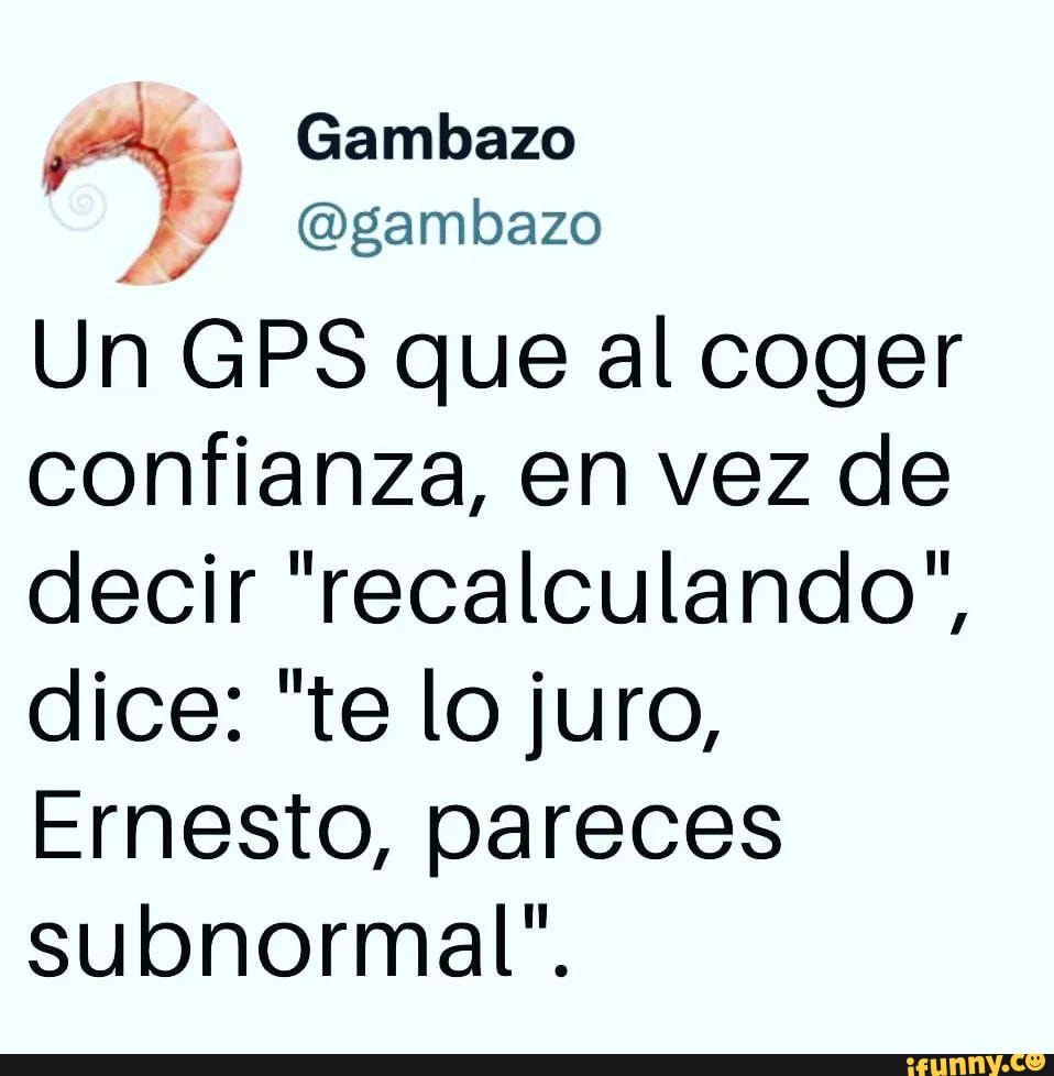Gambito memes. Best Collection of funny Gambito pictures on iFunny Brazil