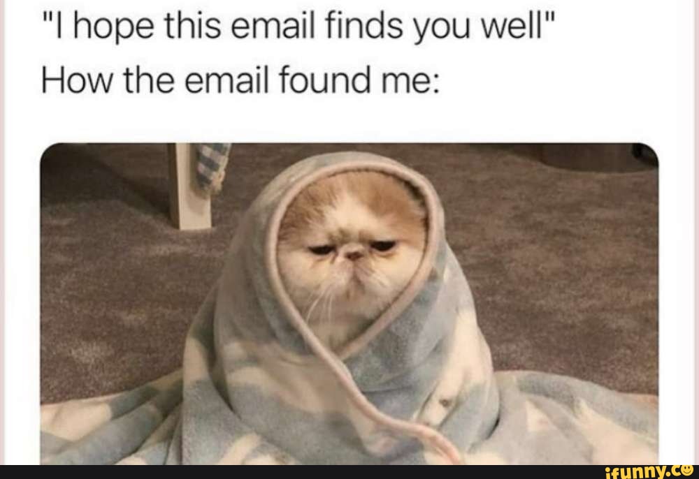 I hope this email finds you well" How the email found me: - iFunny Brazil