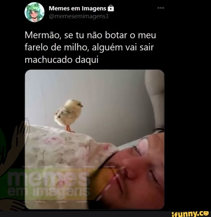 Memes em Imagens (5) ermão, se tu não botar o meu farelo de milho, alguém  vai sair machucado daqui - iFunny Brazil