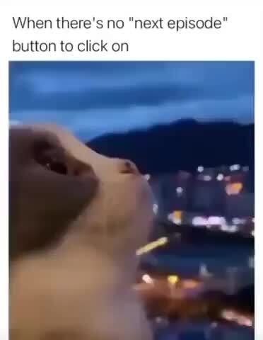 WILL YOU PRESS THE BUTTON? avoritedead it's by - iFunny Brazil