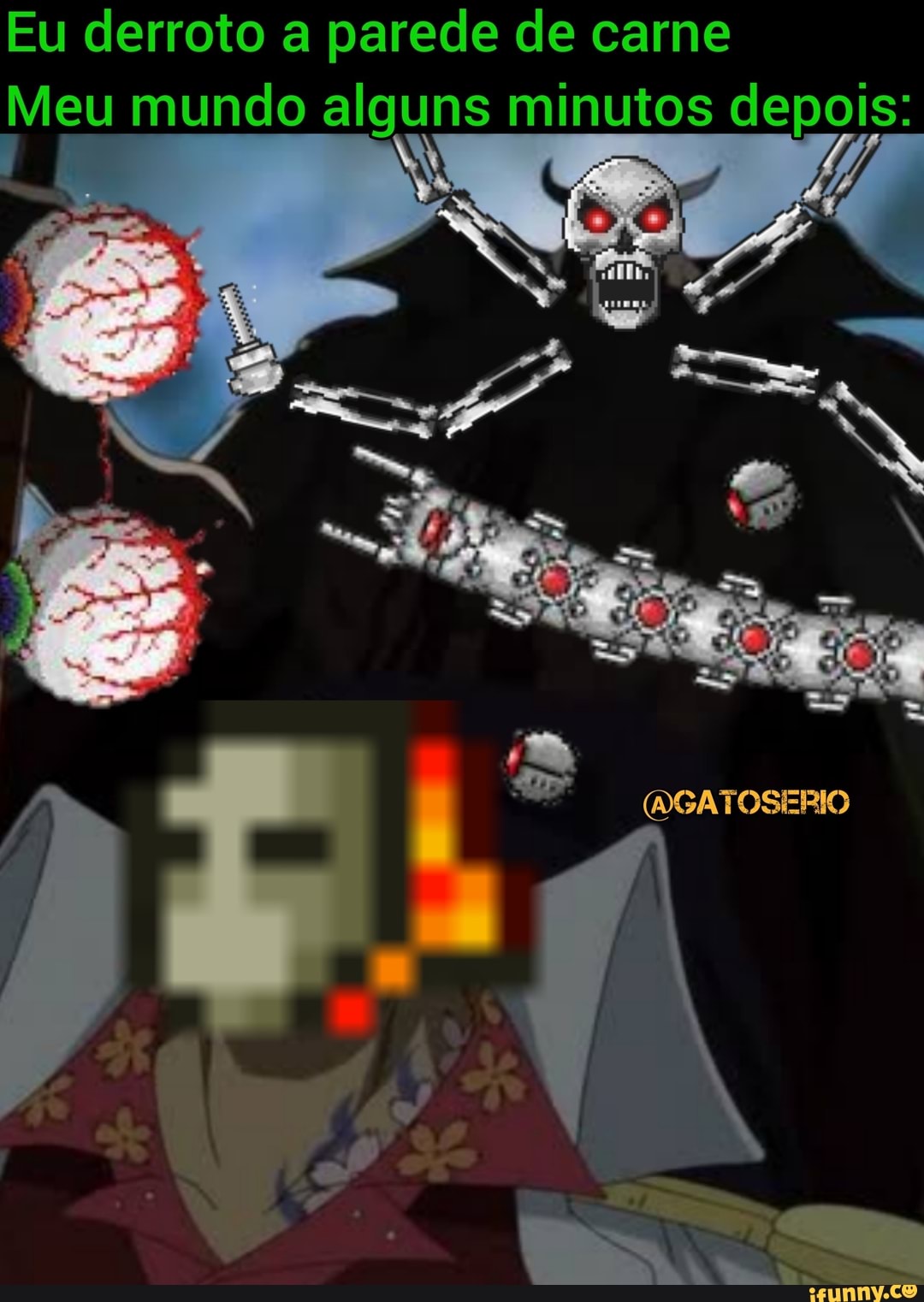 Galera derrotei o parede de carne do terraria oq eu faço agr? Tipo