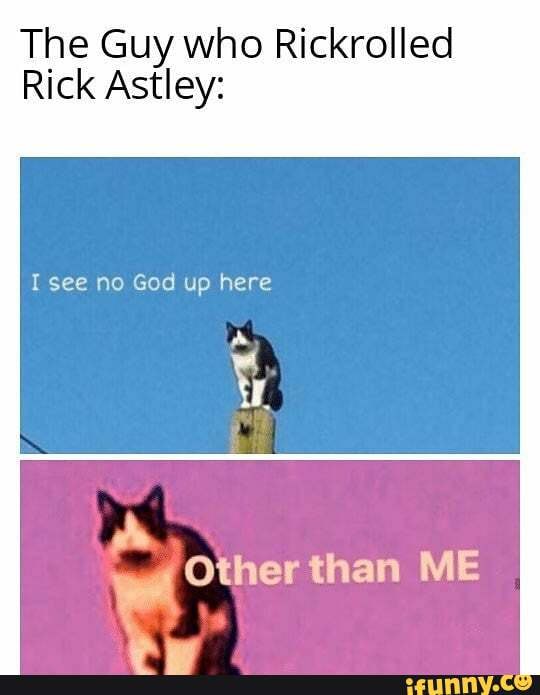 Rick Rolled (Cat Version) 