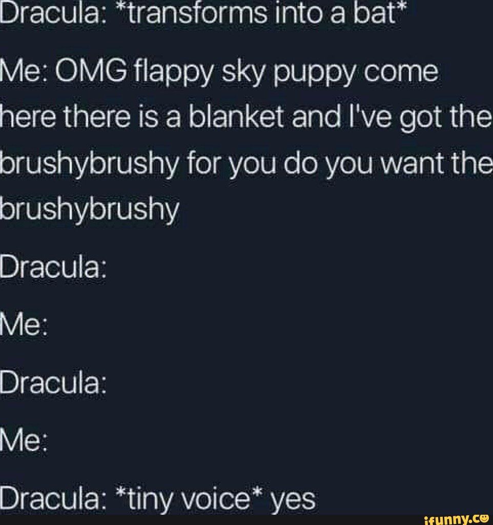 Dracula: *transforms into a bat* Me: OMG flappy sky puppy come here ...