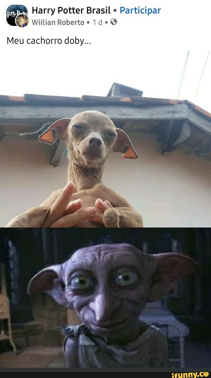 Dobby memes. Best Collection of funny Dobby pictures on iFunny Brazil