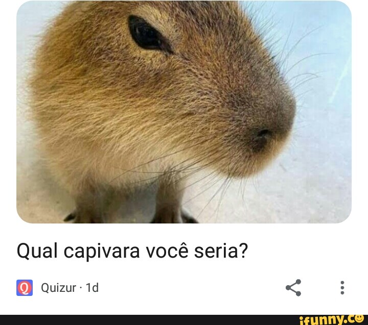 Você é uma capivara?