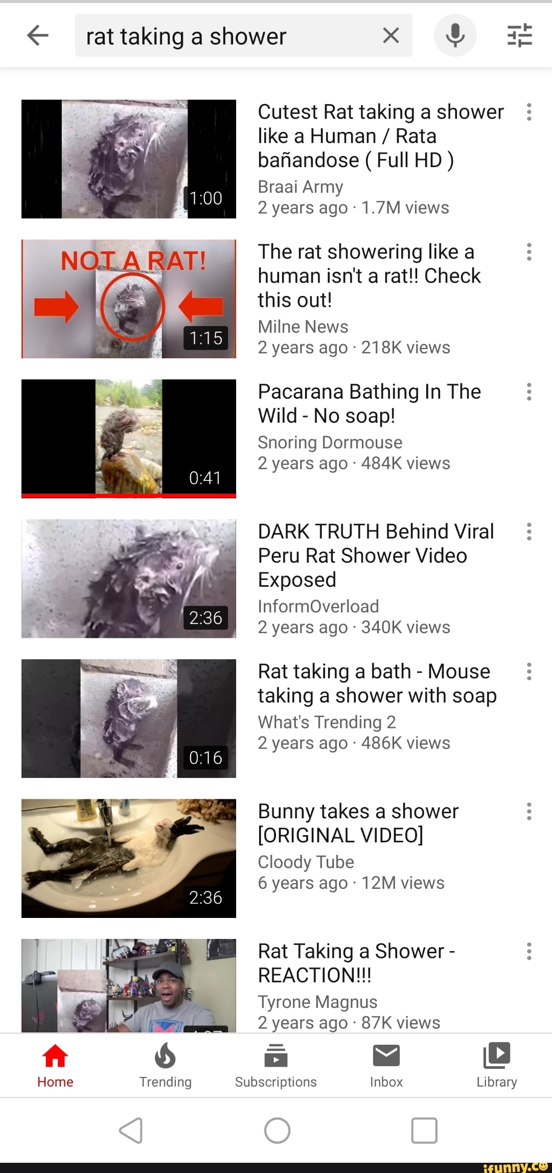 T € rat taking a shower x "4 LL TI Cutest Rat taking a shower like a