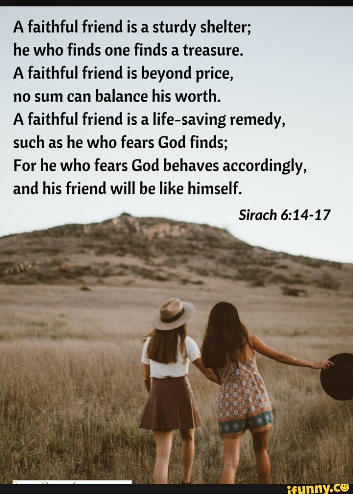 A faithful friend is a sturdy shelter; he who finds one finds a ...