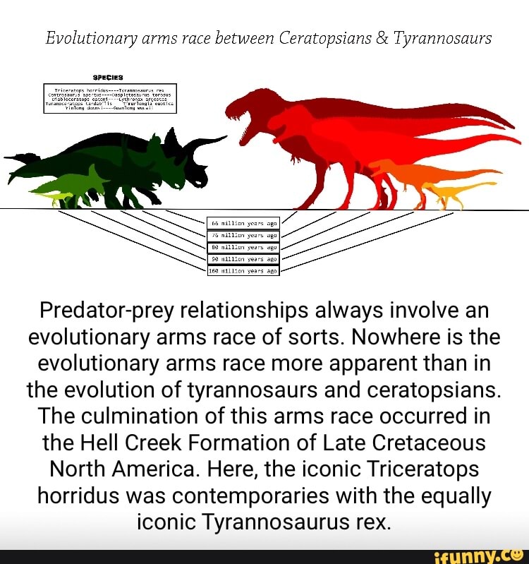 Evolutionary arms race between Ceratopsians & Tyrannosaurs species