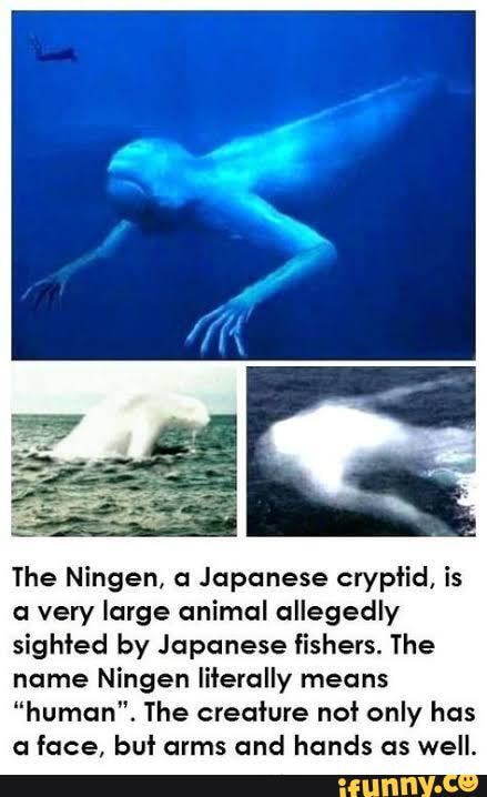 Japanese Sea Monster Ningen