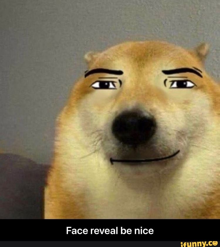 Fa ce reveal - Face reveal - iFunny  Funny profile pictures, Cute funny  pics, Funny images