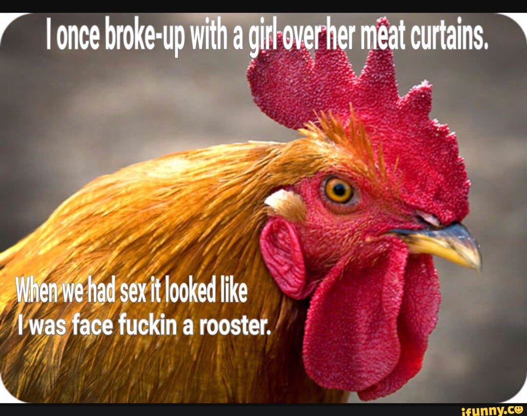 memes #dank_memes #funny #rooster #spicy_memes - once broke-up with a girl  over her meat curtains, When we had sex it looked like I was face fuck in a  rooster. di - iFunny