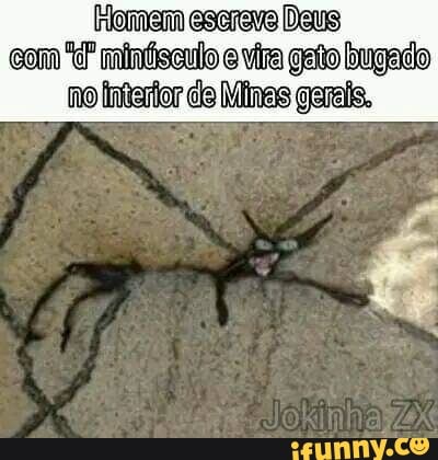 Minúsculo memes. Best Collection of funny Minúsculo pictures on iFunny  Brazil