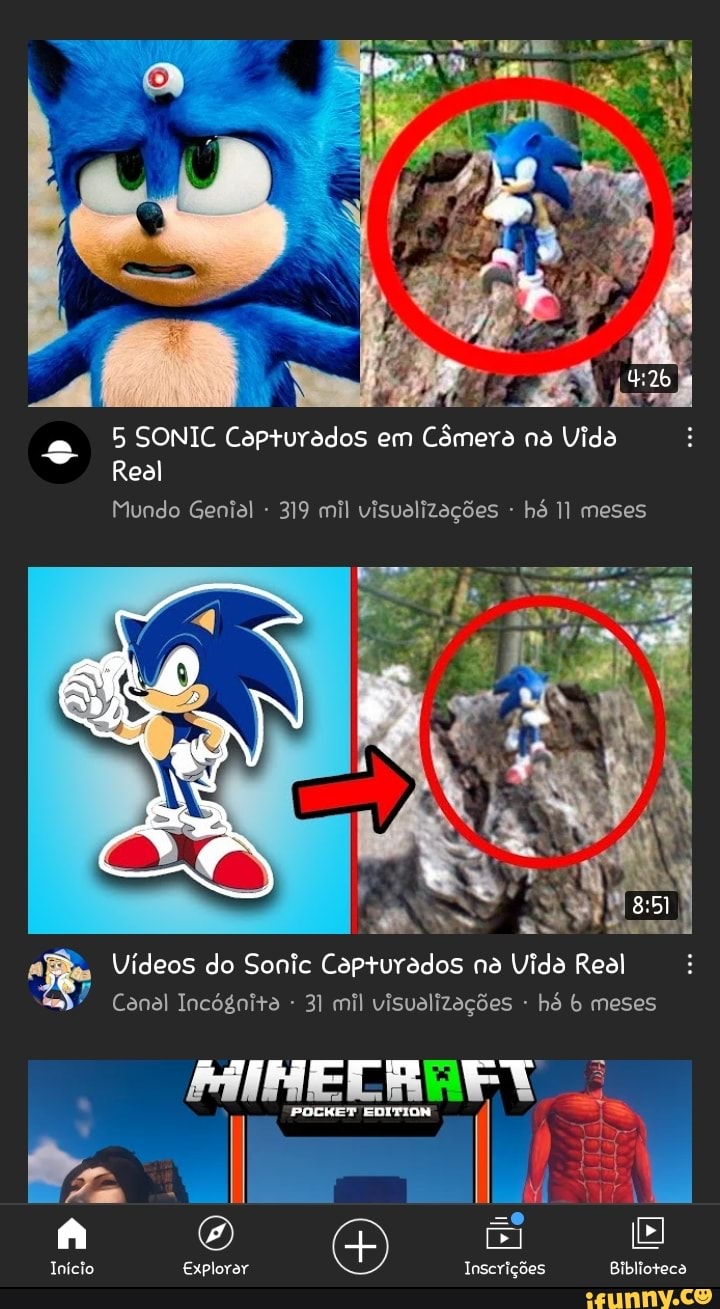 Top 4 memes mais famosos do Sonic.