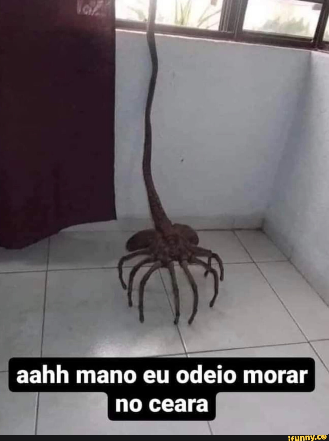 DO ME DEDEZINHO MEGAMENTE NO INTERIOR DO CEARÁ É PRESO - iFunny