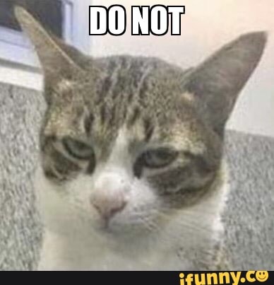 Angry Cat is Angry - iFunny Brazil