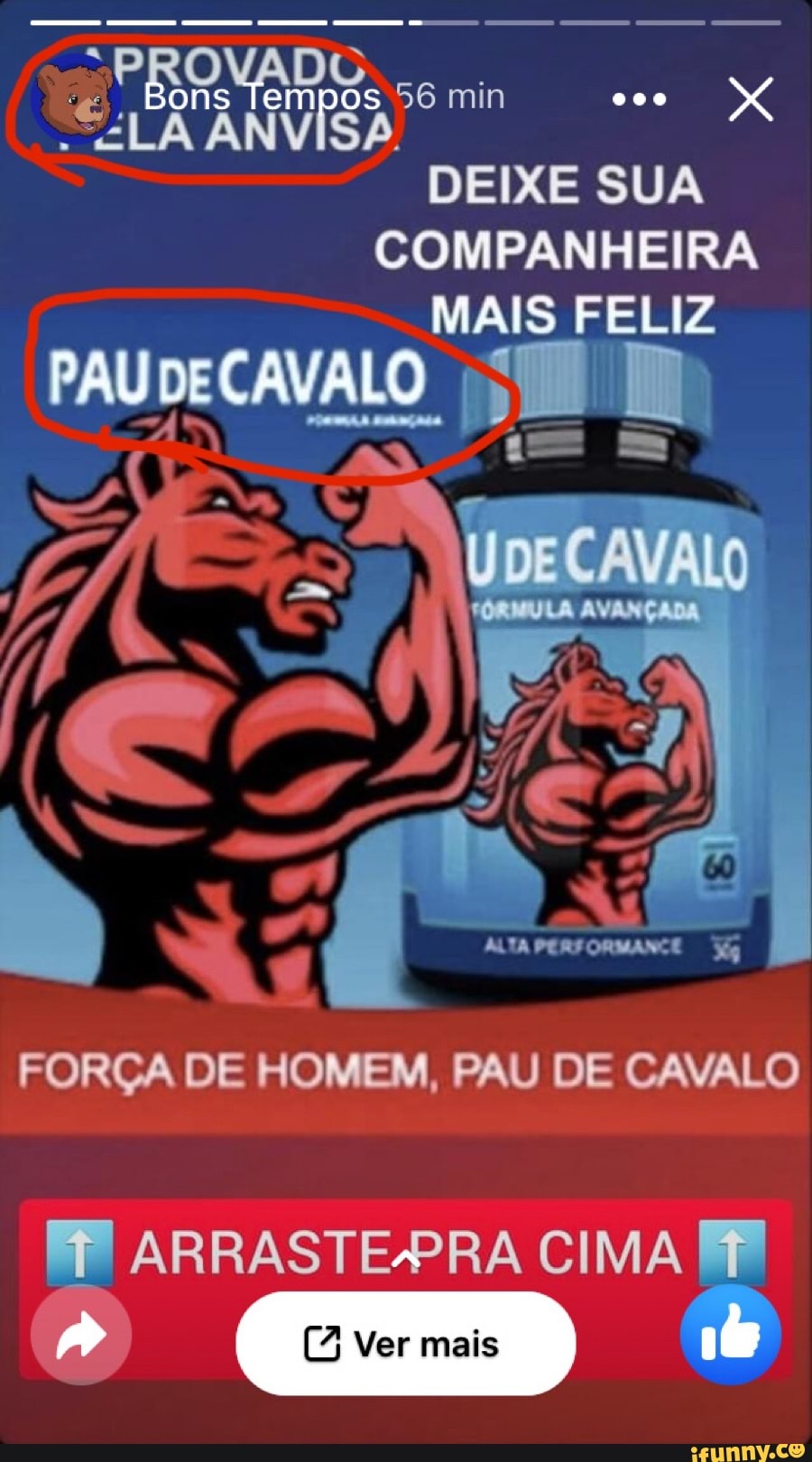 Essa página tá tomando um rumo meio errado - DEIXE SUA COMPANHEIRA MAIS  FELIZ EN Bons Tempos PAUDECAVALO ff FORÇA DE HOMEM, PAU DE CAVALO  ARRASTEPRA CIMA Ver mais - iFunny Brazil