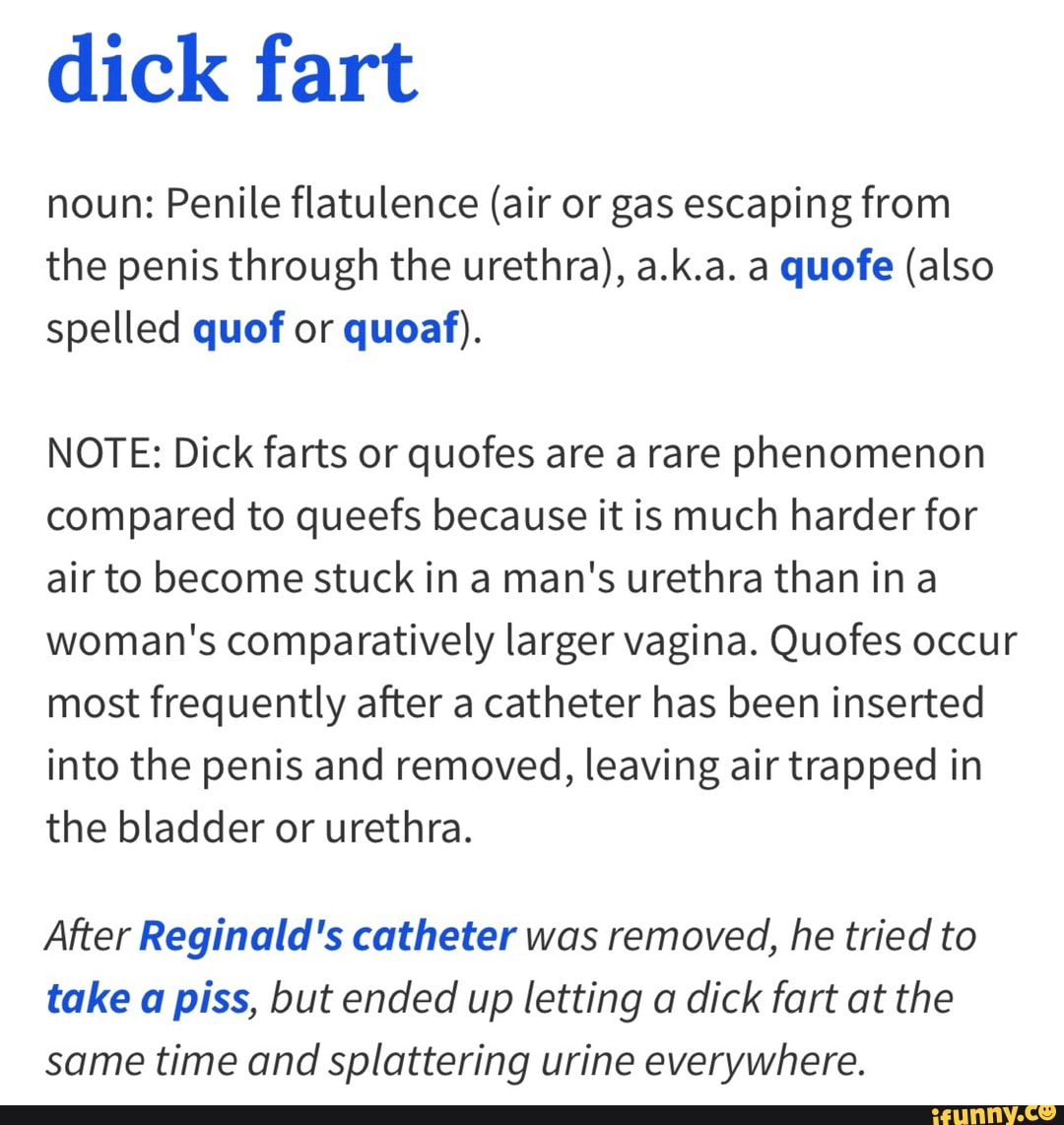 Dick Fart Noun Penile Flatulence Air Or Gas Escaping From The Penis