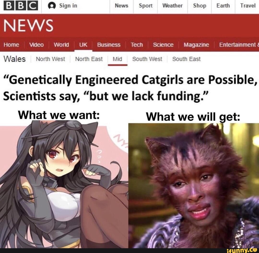 Genetically Engineered Catgirls are Possible,  Scientists say, “but we  lack funding.” - iFunny