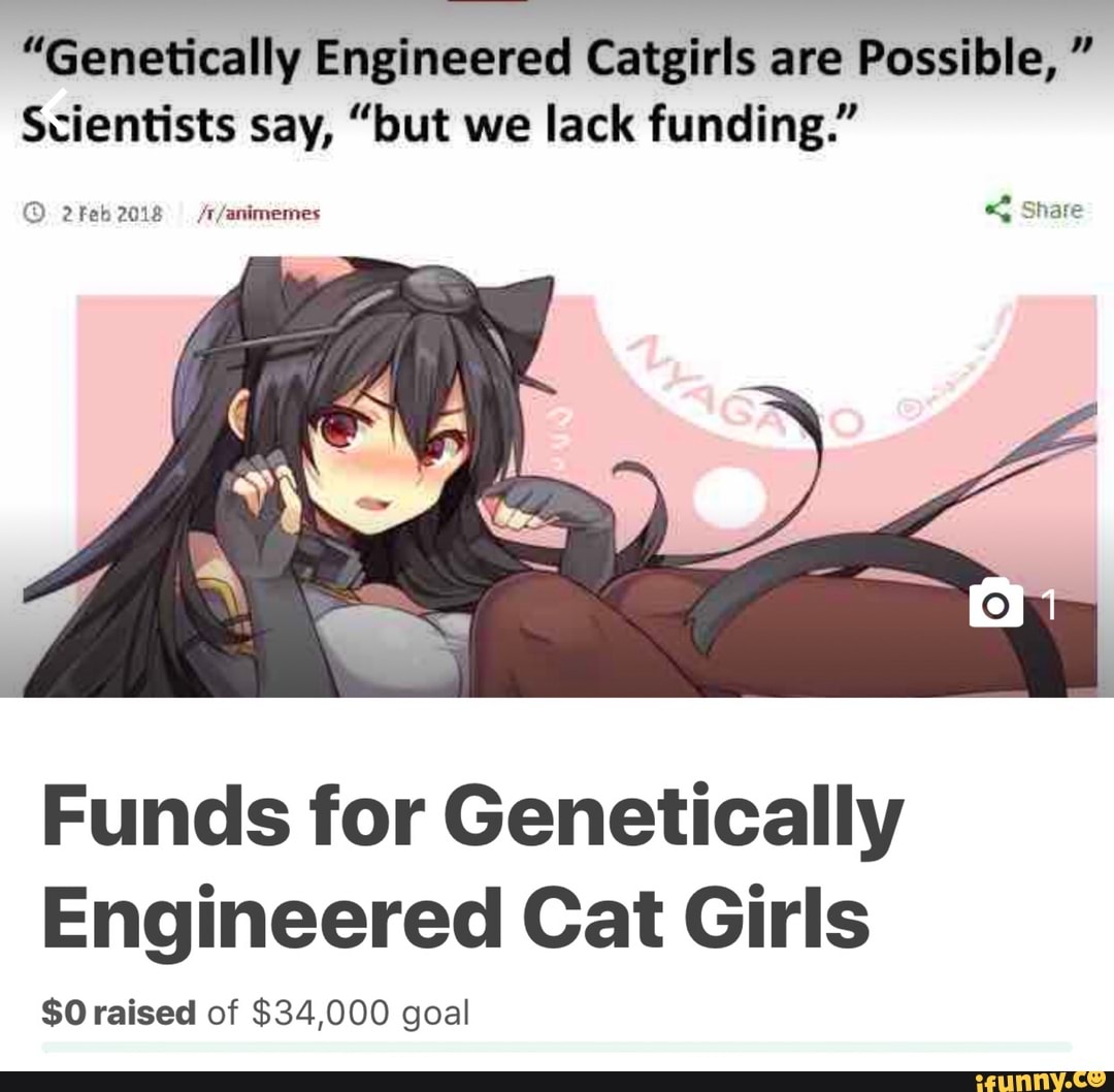 Fun] Every dollar spent on church is a dollar not spent on genetically  engineering catgirls for domestic ownership. : r/DDLC