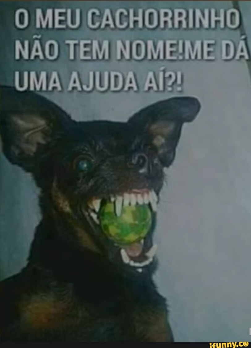 Krikor memes. Best Collection of funny Krikor pictures on iFunny Brazil