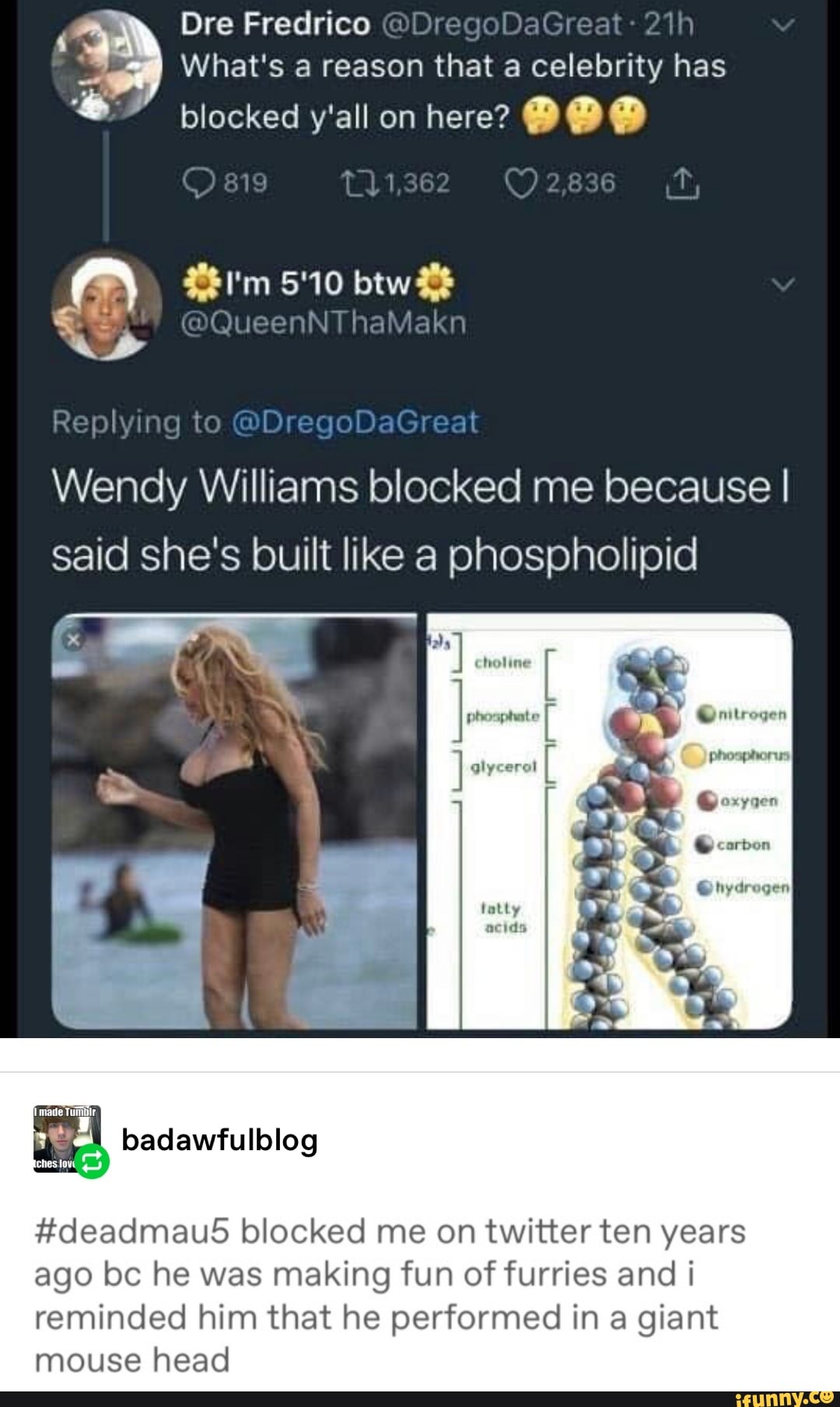 Celebeity blocked me for no reason