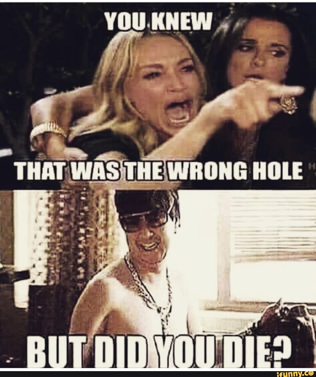 Wrong hole gifs
