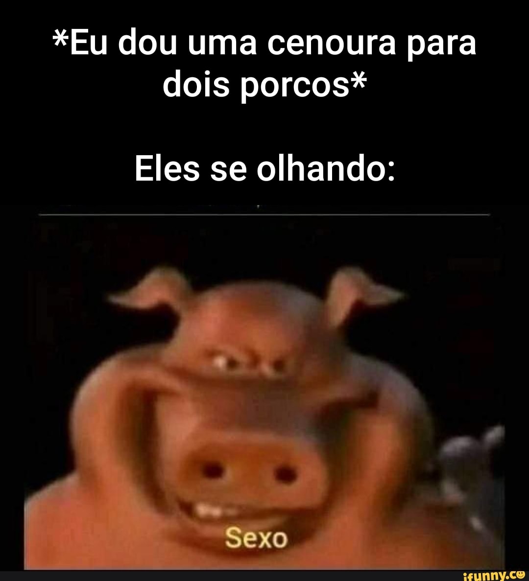 Eu dou uma cenoura para dois porcos* Eles se olhando: Sexo - iFunny Brazil